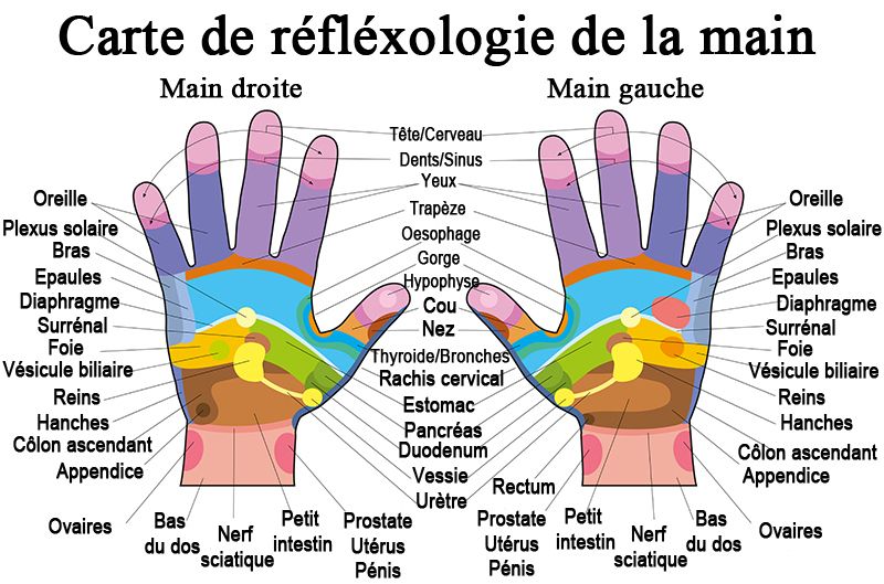 La Reflexologie Irfa Formation